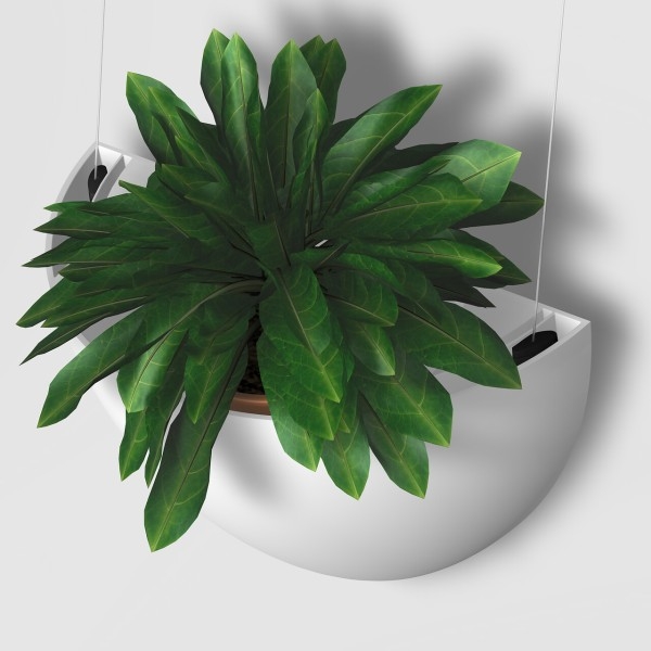 Botaniq 1.25L - White hanging flowerpot - suspension of Gardener Artiteq ARTI TEQ 1 - Cimaise Tableau 